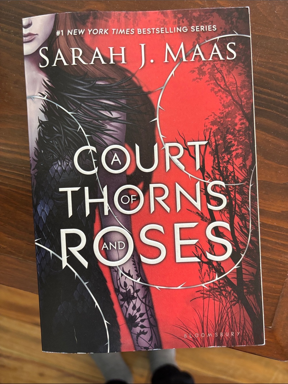 A Court of Thorns and Roses by Sarah J. Maas